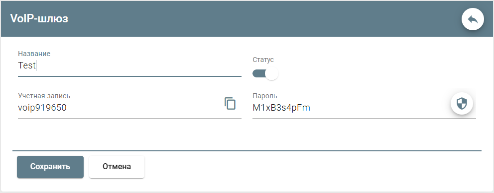 ../_images/voip_gateway.png